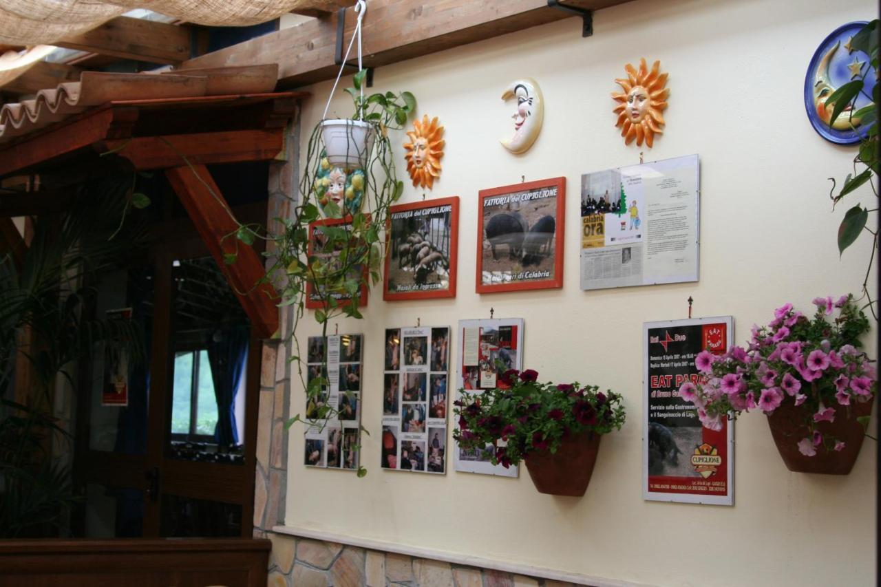 Cupiglione Farm stay