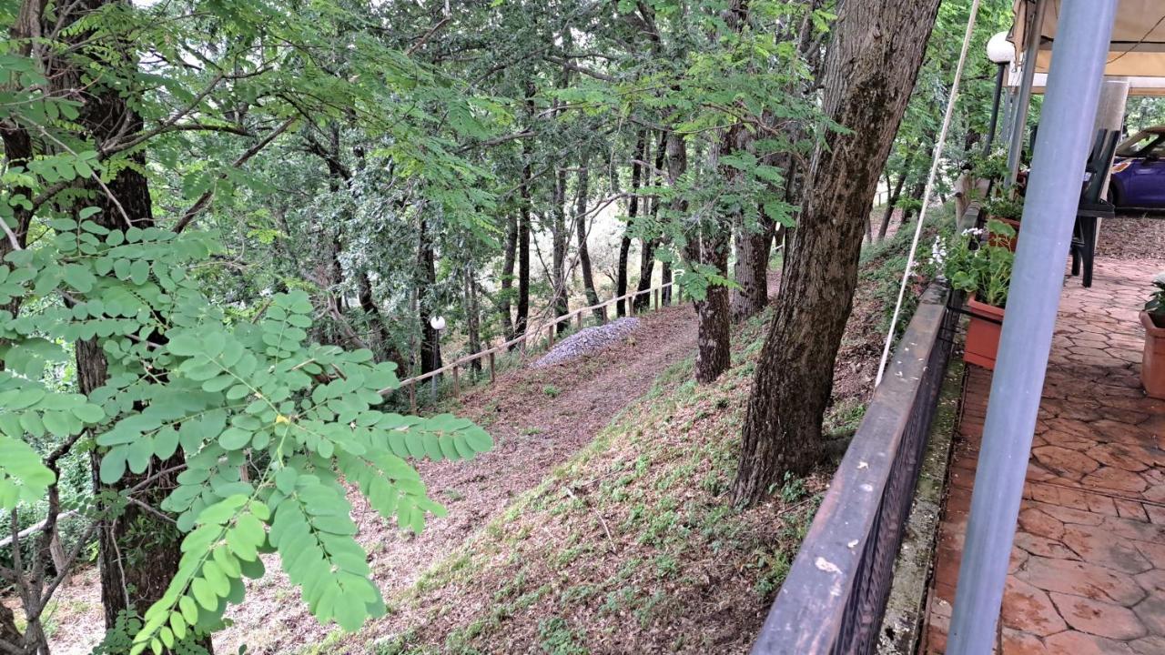 Cupiglione Farm stay