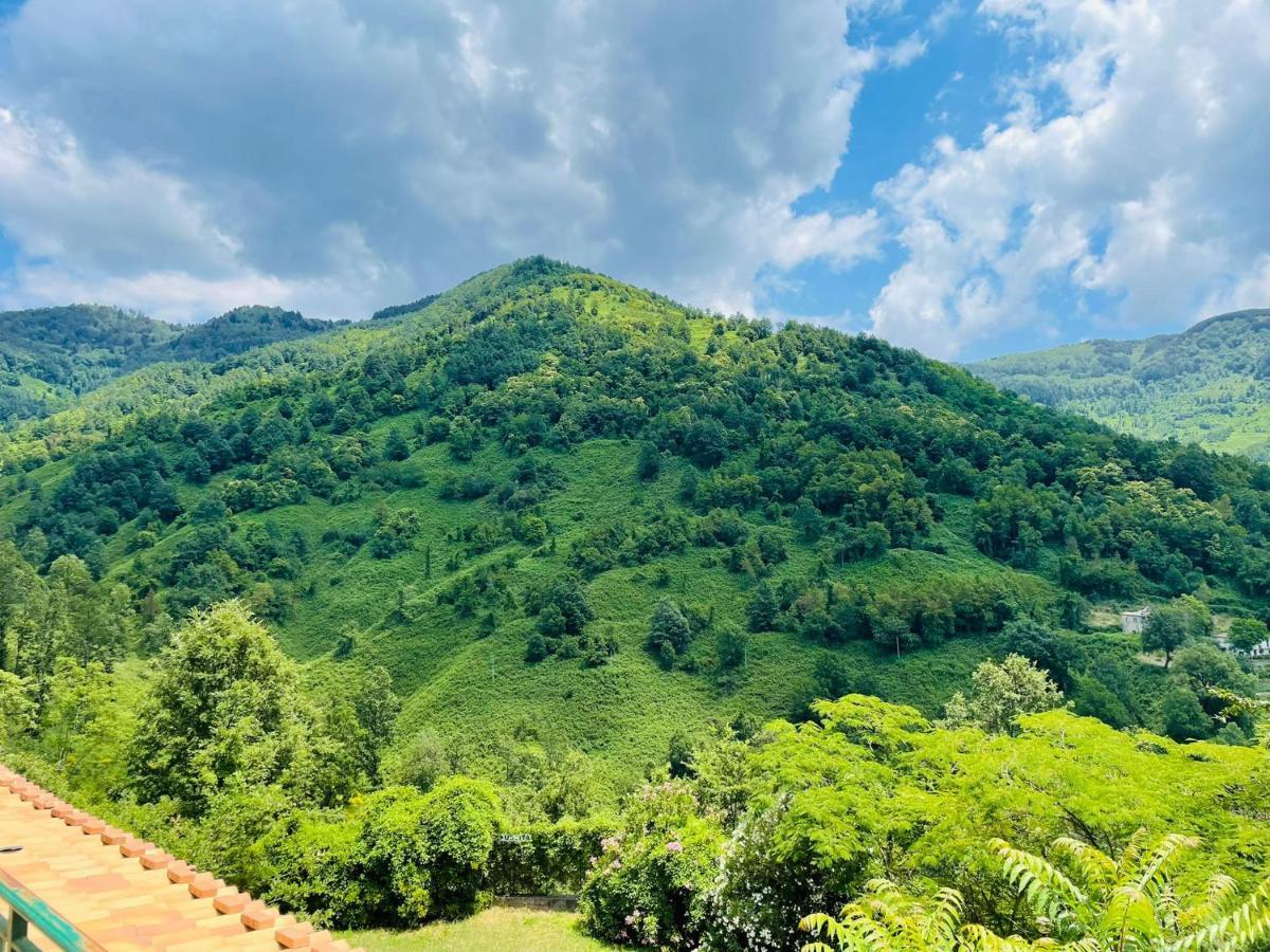 Cupiglione Farm stay Lago (Calabria)