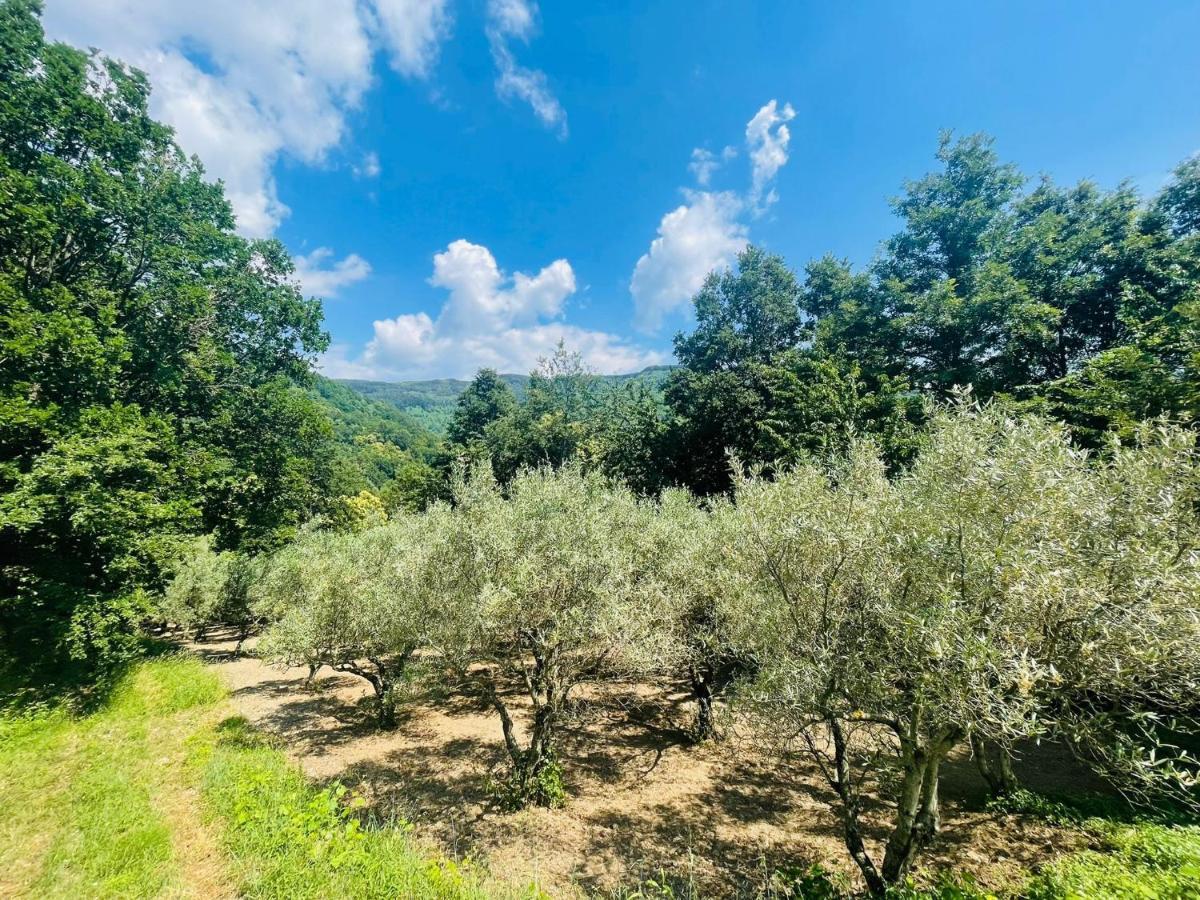 Cupiglione Farm stay Lago (Calabria)