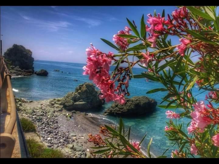 Farm stay Cupiglione