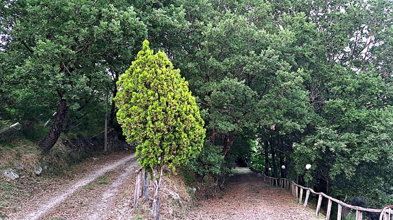 Farm stay Cupiglione *